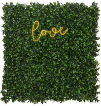 Pack neón con jardín vertical